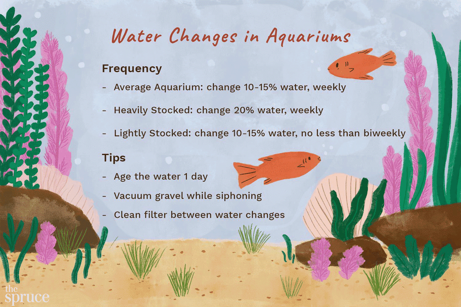 Illustration des changements d'eau dans les aquariums