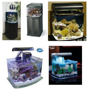 Liste de contrôle pour démarrer un aquarium d'eau salée à la maison