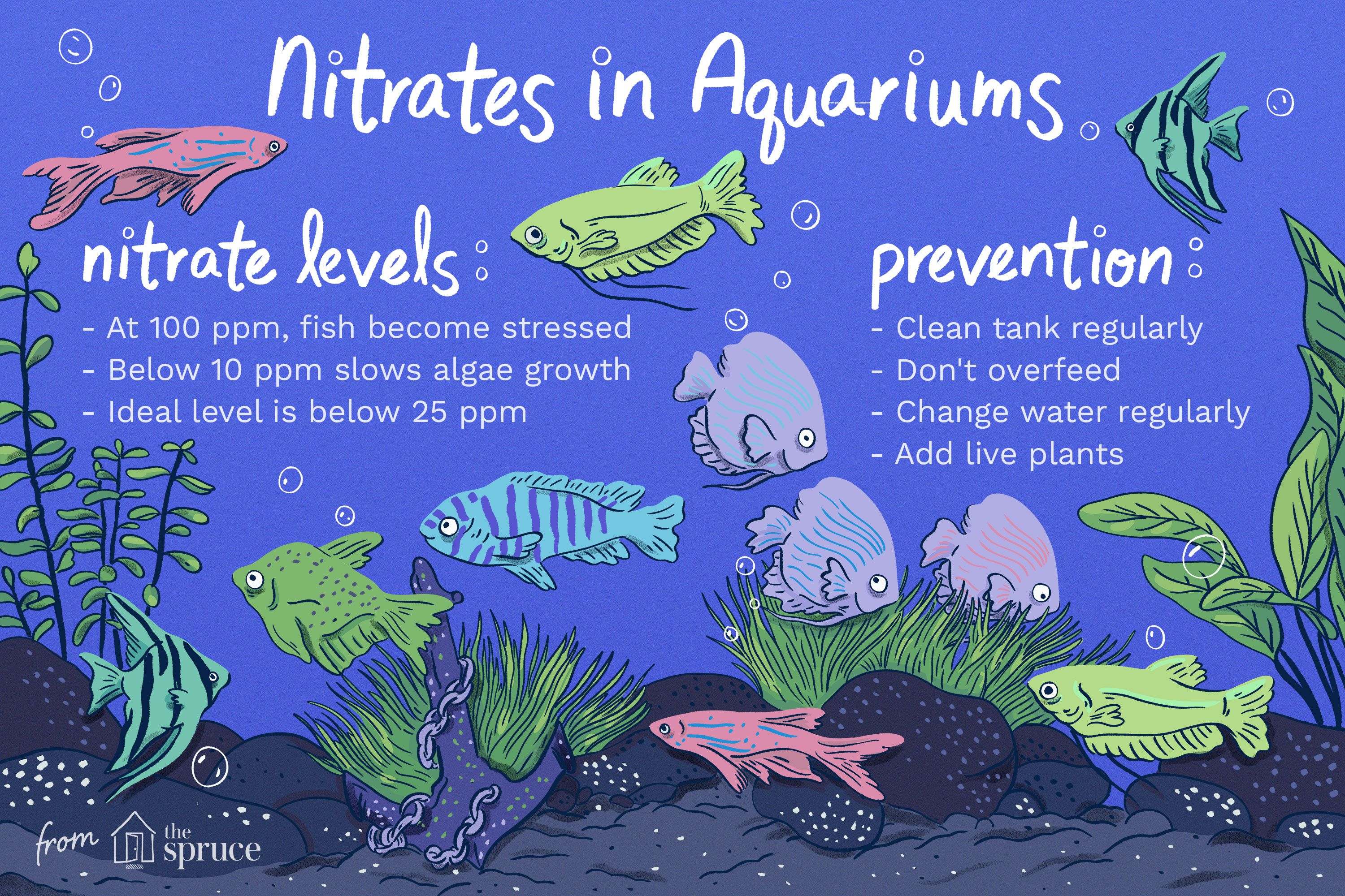 Nitrates dans les aquariums